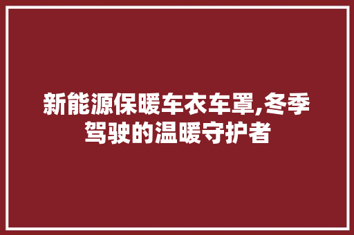 新能源保暖车衣车罩,冬季驾驶的温暖守护者