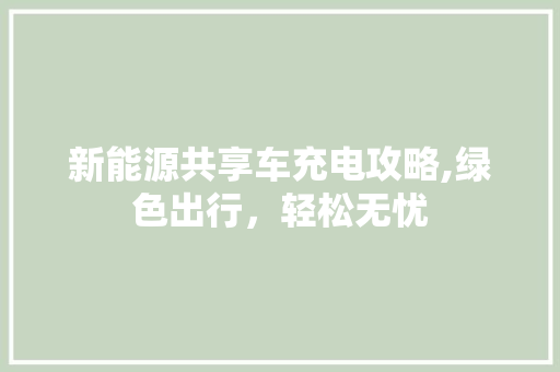新能源共享车充电攻略,绿色出行，轻松无忧
