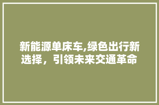 新能源单床车,绿色出行新选择，引领未来交通革命