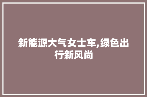 新能源大气女士车,绿色出行新风尚