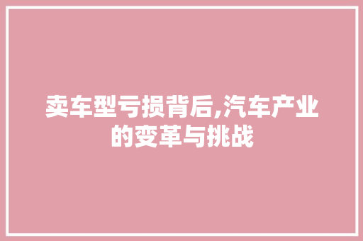 卖车型亏损背后,汽车产业的变革与挑战