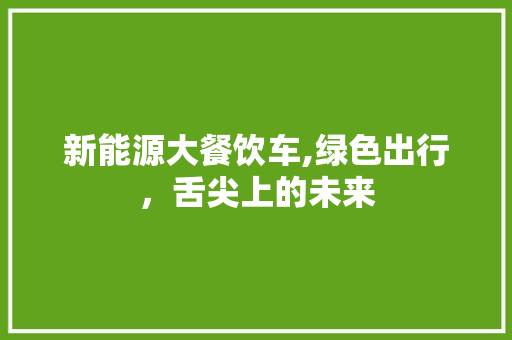 新能源大餐饮车,绿色出行，舌尖上的未来
