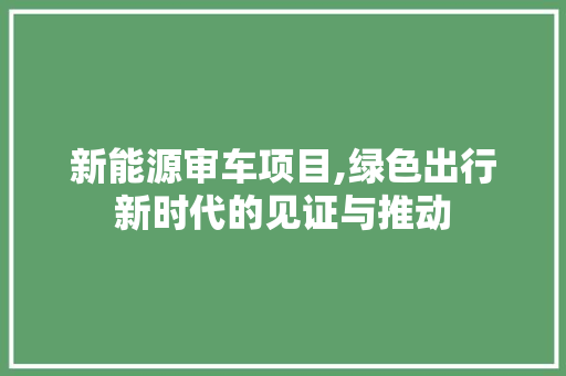 新能源审车项目,绿色出行新时代的见证与推动