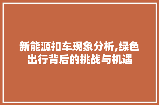 新能源扣车现象分析,绿色出行背后的挑战与机遇