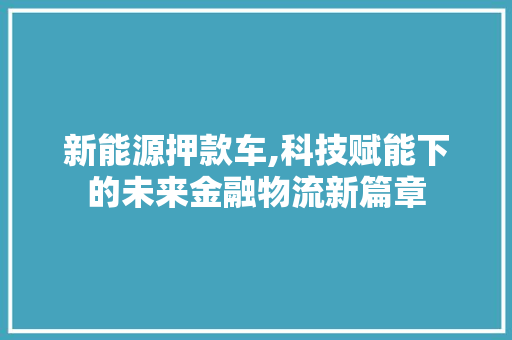 新能源押款车,科技赋能下的未来金融物流新篇章