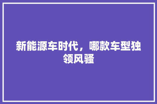 新能源车时代，哪款车型独领风骚