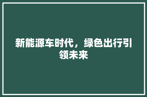 新能源车时代，绿色出行引领未来