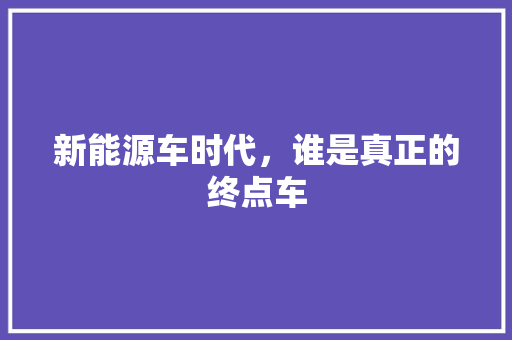 新能源车时代，谁是真正的终点车