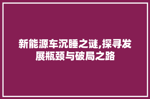 新能源车沉睡之谜,探寻发展瓶颈与破局之路 新款车型