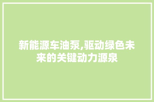 新能源车油泵,驱动绿色未来的关键动力源泉