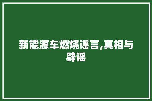 新能源车燃烧谣言,真相与辟谣