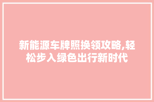 新能源车牌照换领攻略,轻松步入绿色出行新时代