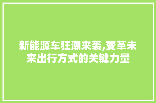 新能源车狂潮来袭,变革未来出行方式的关键力量