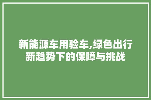 新能源车用验车,绿色出行新趋势下的保障与挑战