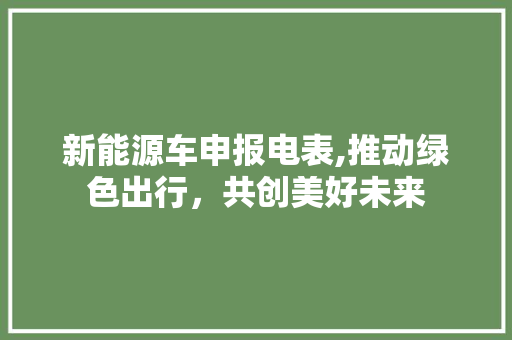 新能源车申报电表,推动绿色出行，共创美好未来 车身配件