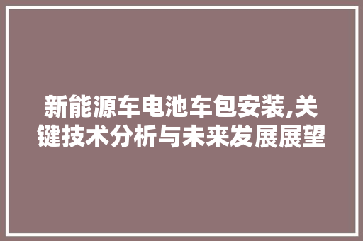 新能源车电池车包安装,关键技术分析与未来发展展望