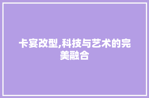 卡宴改型,科技与艺术的完美融合
