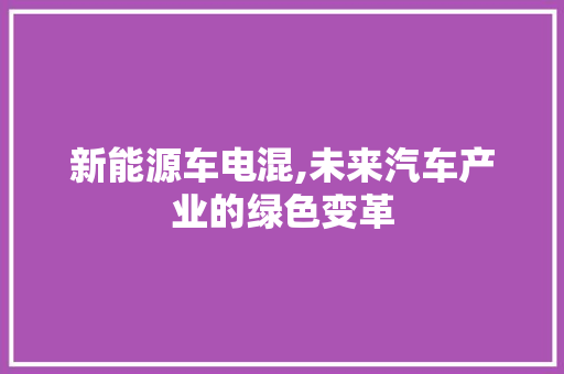 新能源车电混,未来汽车产业的绿色变革