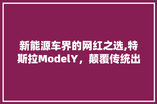新能源车界的网红之选,特斯拉ModelY，颠覆传统出行体验