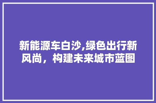 新能源车白沙,绿色出行新风尚，构建未来城市蓝图