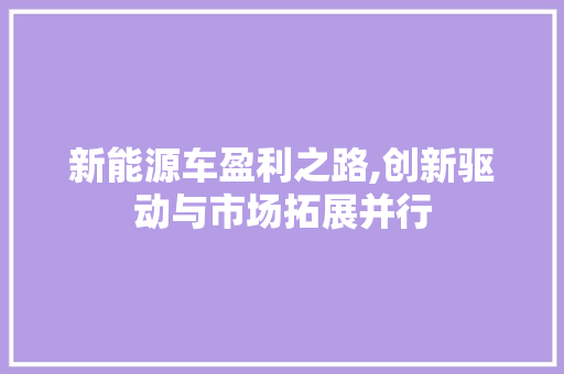 新能源车盈利之路,创新驱动与市场拓展并行