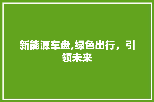 新能源车盘,绿色出行，引领未来