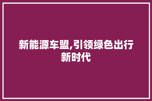 新能源车盟,引领绿色出行新时代