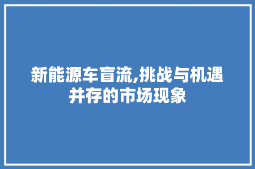新能源车盲流,挑战与机遇并存的市场现象