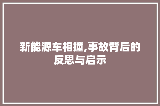 新能源车相撞,事故背后的反思与启示