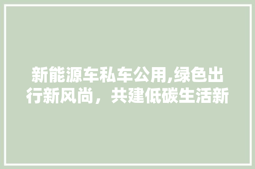 新能源车私车公用,绿色出行新风尚，共建低碳生活新纪元