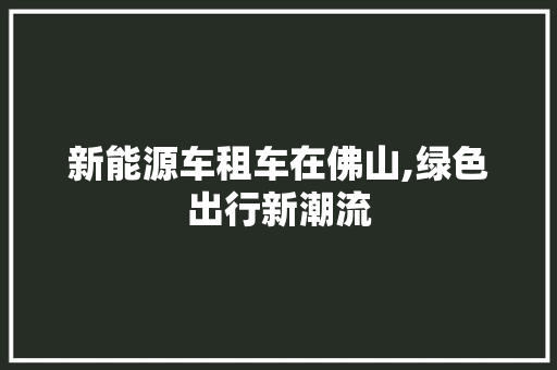 新能源车租车在佛山,绿色出行新潮流