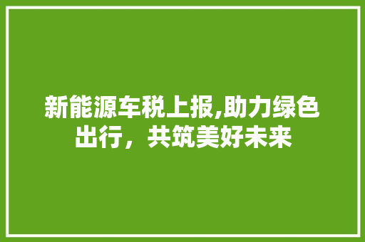 新能源车税上报,助力绿色出行，共筑美好未来