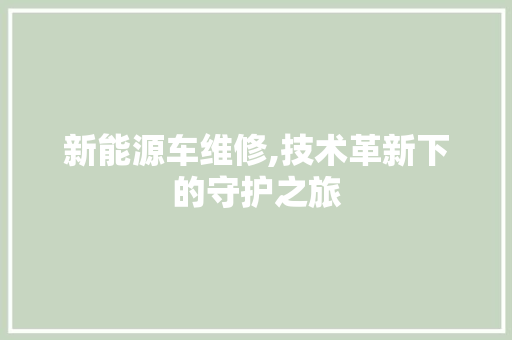新能源车维修,技术革新下的守护之旅