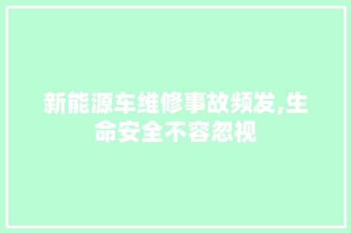 新能源车维修事故频发,生命安全不容忽视