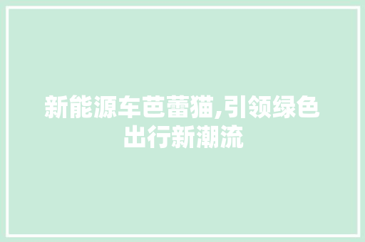 新能源车芭蕾猫,引领绿色出行新潮流