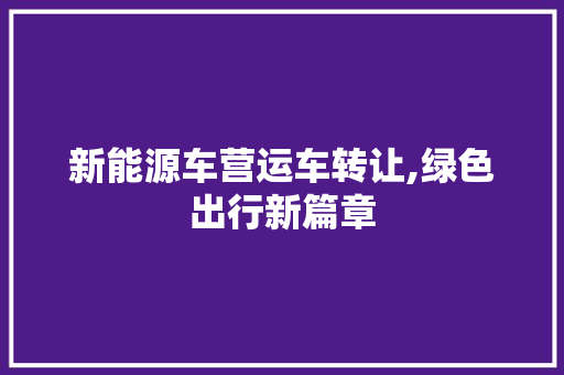 新能源车营运车转让,绿色出行新篇章