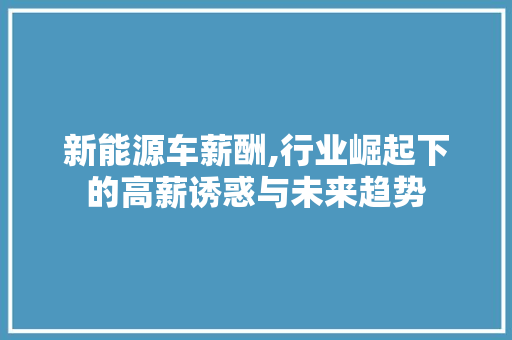 新能源车薪酬,行业崛起下的高薪诱惑与未来趋势