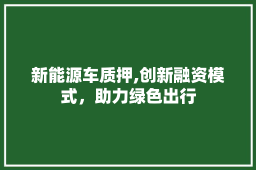 新能源车质押,创新融资模式，助力绿色出行