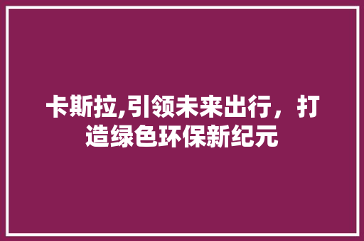 卡斯拉,引领未来出行，打造绿色环保新纪元