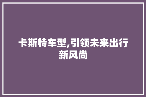 卡斯特车型,引领未来出行新风尚