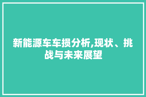 新能源车车损分析,现状、挑战与未来展望