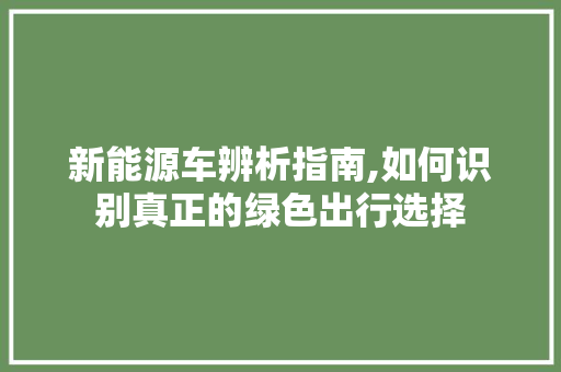 新能源车辨析指南,如何识别真正的绿色出行选择