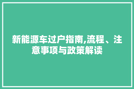新能源车过户指南,流程、注意事项与政策解读