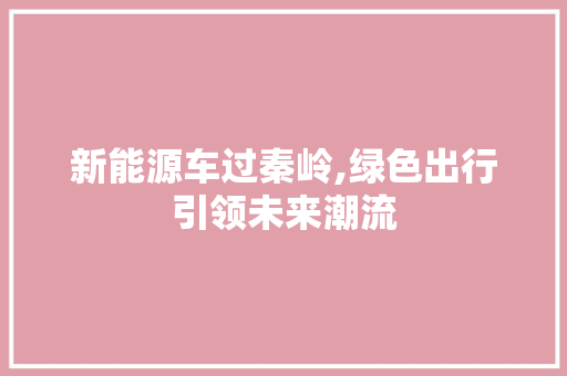 新能源车过秦岭,绿色出行引领未来潮流