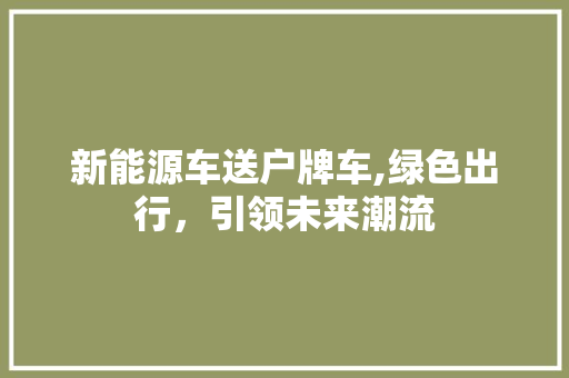 新能源车送户牌车,绿色出行，引领未来潮流