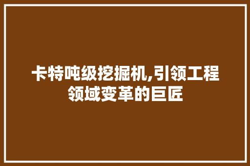 卡特吨级挖掘机,引领工程领域变革的巨匠