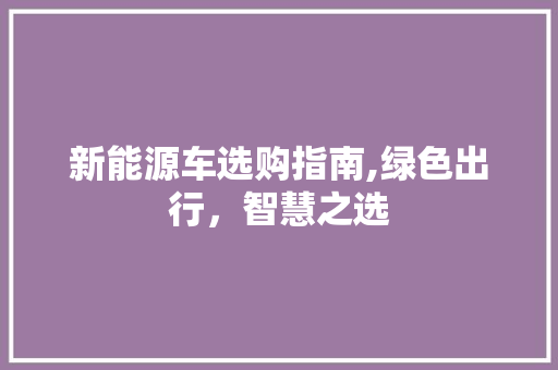新能源车选购指南,绿色出行，智慧之选