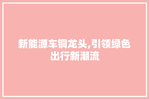 新能源车铜龙头,引领绿色出行新潮流