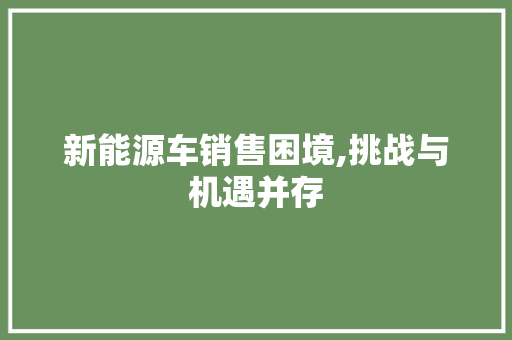 新能源车销售困境,挑战与机遇并存