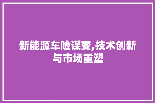 新能源车险谋变,技术创新与市场重塑